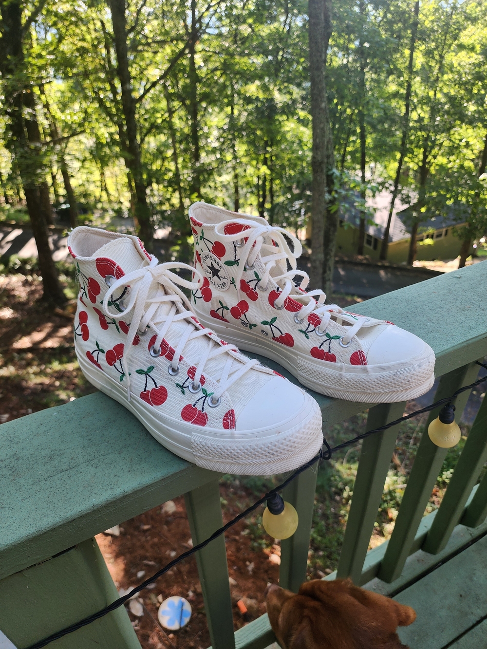 Converse Chuck Taylor All Star High Top Sneakers - White with Red Cherry Print